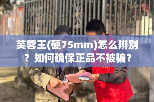 芙蓉王(硬75mm)怎么辨别？如何确保正品不被骗？